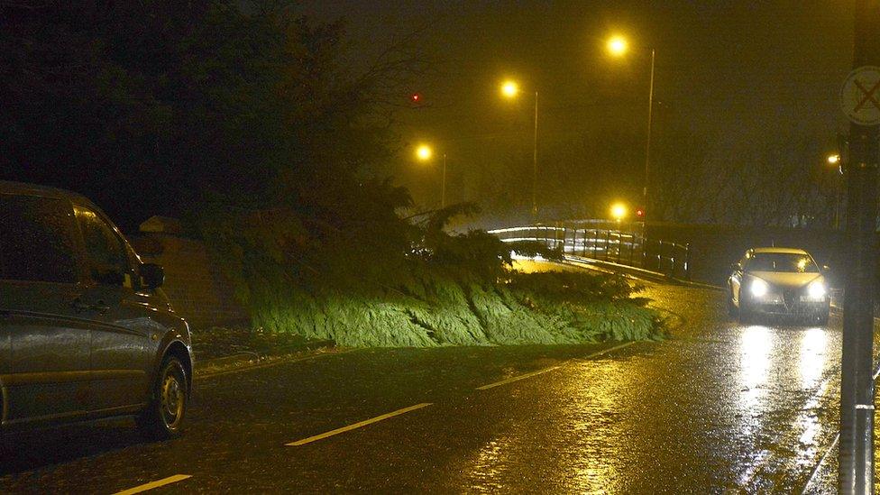 A tree blocks part of the road on Dee Street in east Belfast