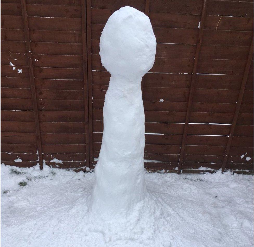 Snow sculpture