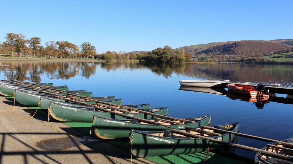 llyn tegid