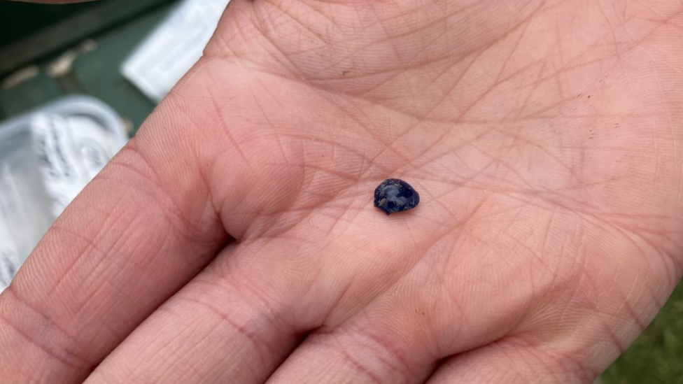 Medieval blue glass bead found at Lurgan site