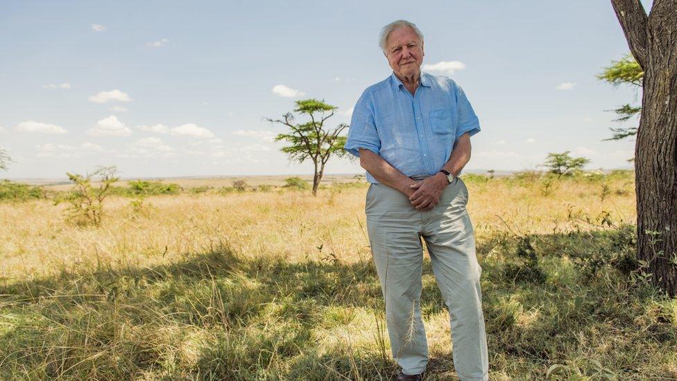 sir-david-attenborough-standing-on-the-grass-plains