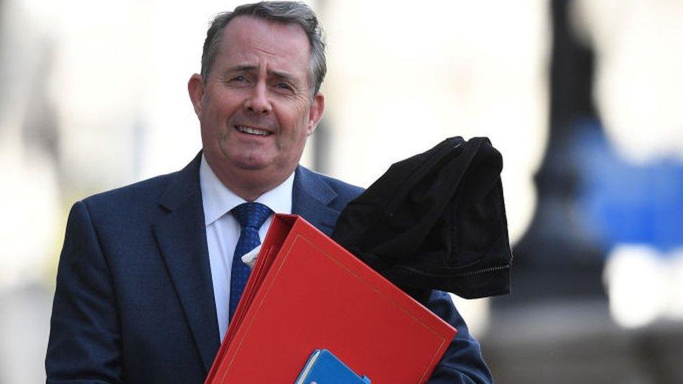 Liam Fox Secretary of State for International Trade