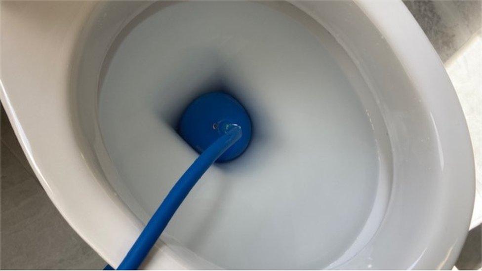 Toilet bung