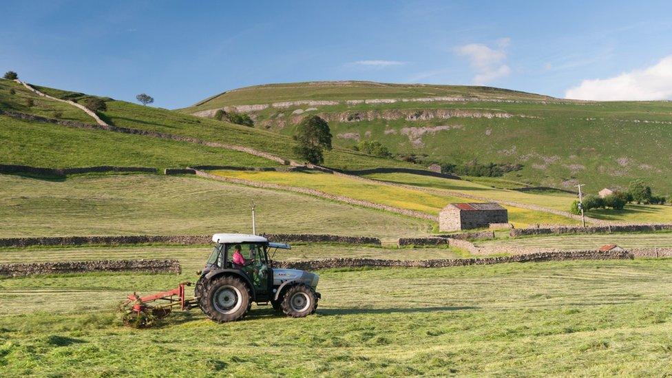 A tractor at a farm