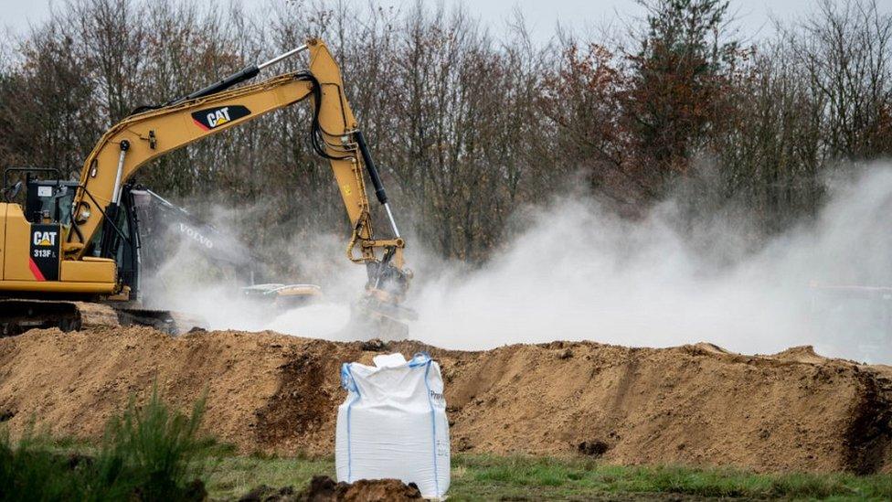 Mass burial of mink near Holstebro, 9 Nov 20