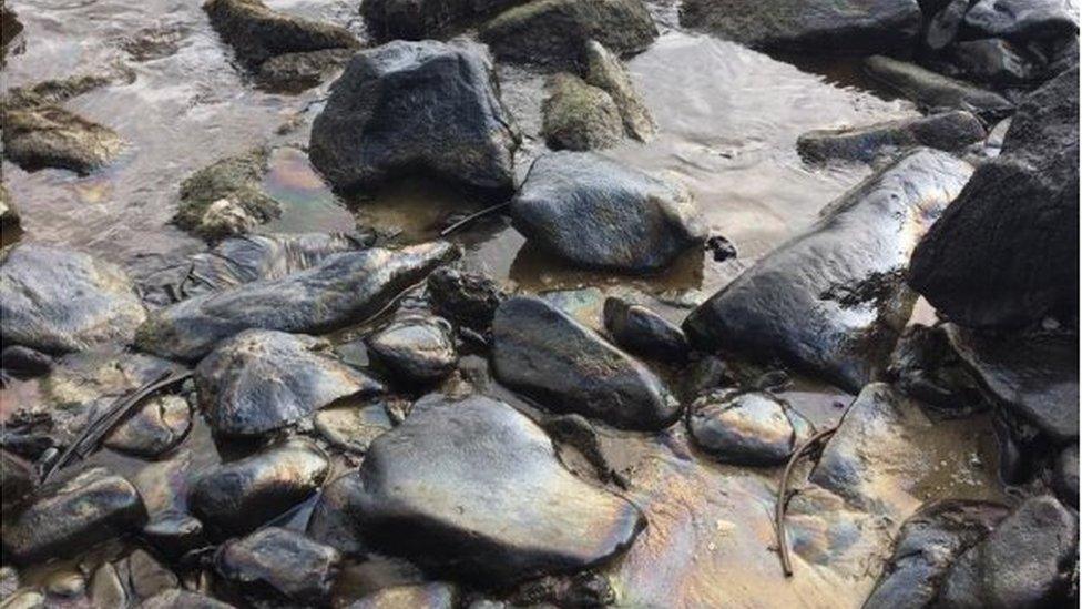 A handout photo made available by environmental activist Samuel Cabrera shows part of the oil contamination at El Palito beach in Puerto Cabello, Venezuela, 10 August 2020 (