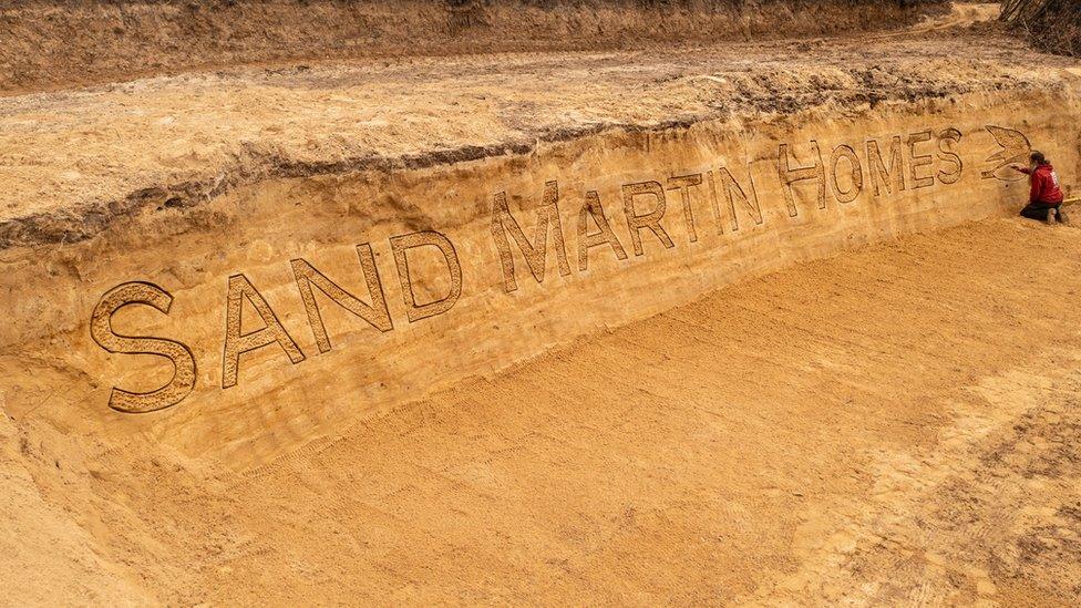Giant sandcastle for sand martins