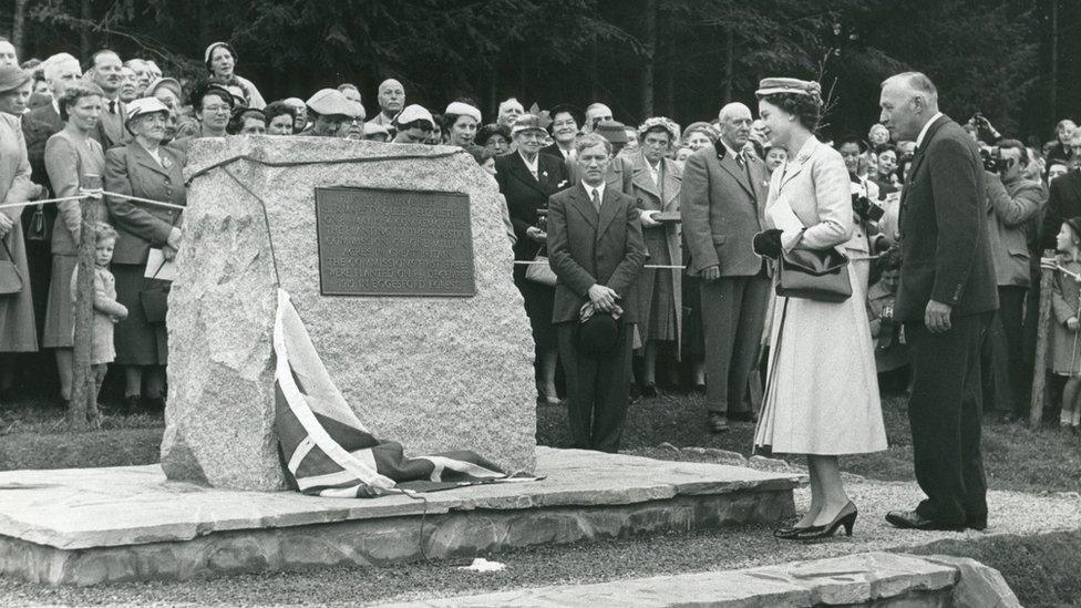 Queen at Eggesford Forest