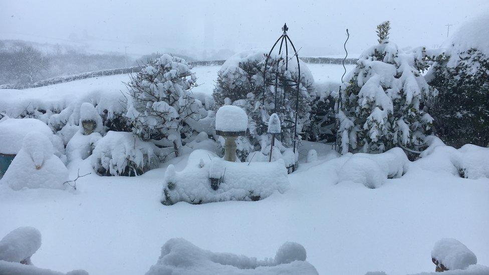 A snowy garden