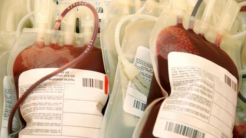 Bags of donated blood