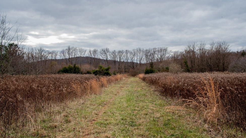 Mallory's jogging path in Leesburg