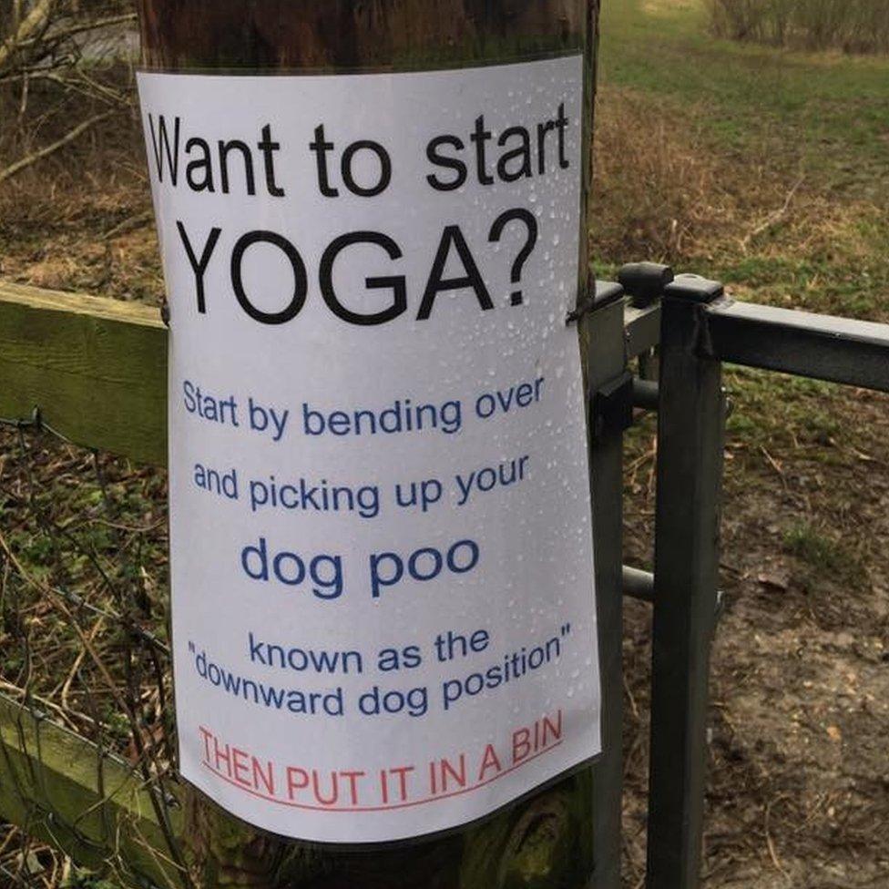 Dog poo 'yoga move' sign