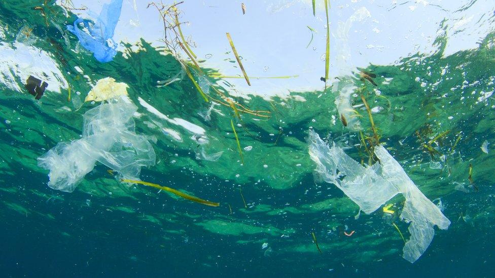 Plastic waste in the sea.