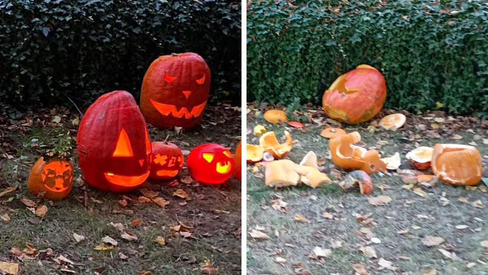 Pumpkins in Kurdejov