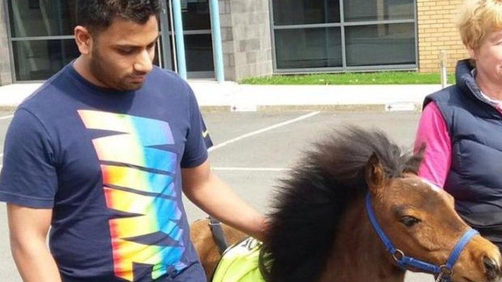 Blind journalist Mohammed Salim Patel with guide horse