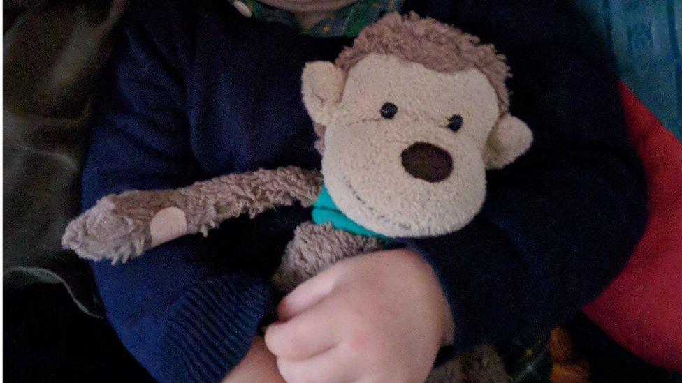 Mac the monkey is distinguishable by his tunic made from a sock, and two plasters