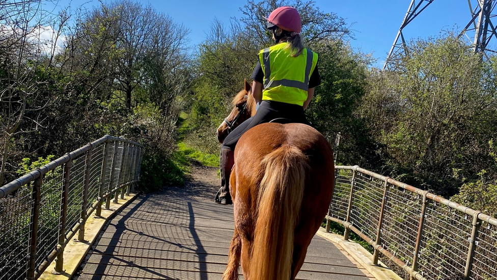 The horse, Jade, walking over a bridge being ridden by Ms Starkie