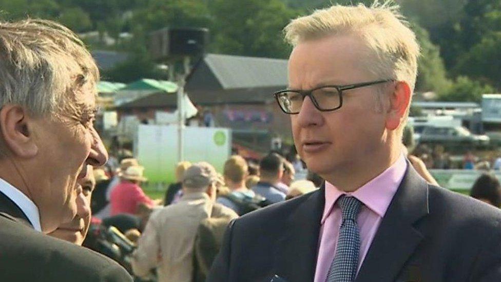 Michael Gove at Royal Welsh Show