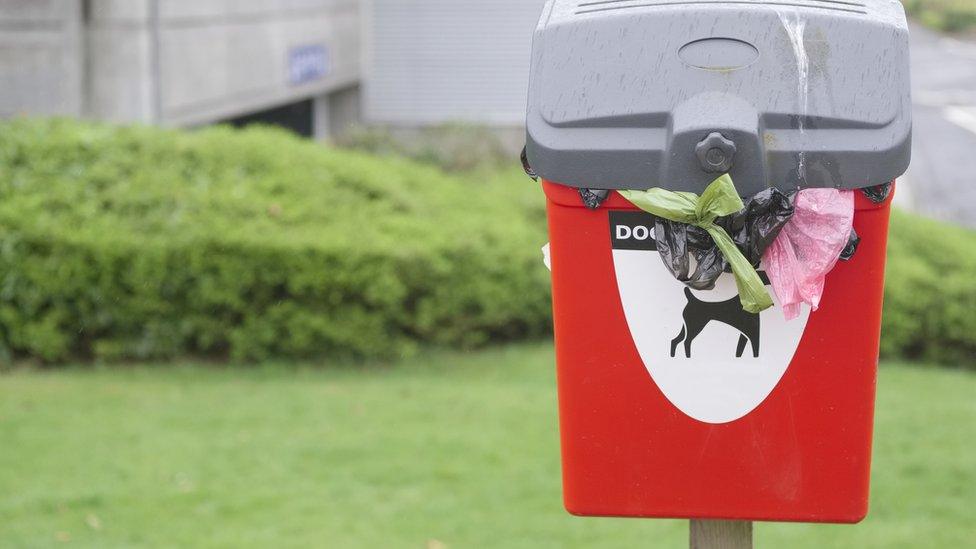 dog poo bin