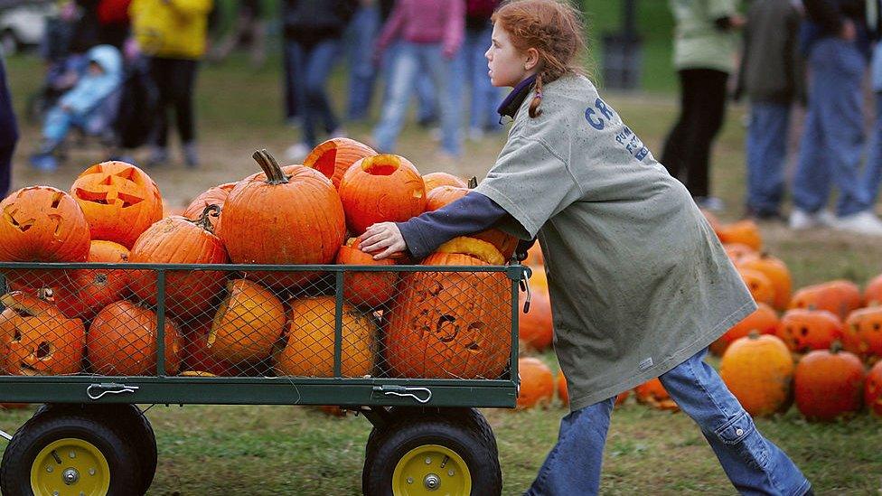 Pumpkin leftovers