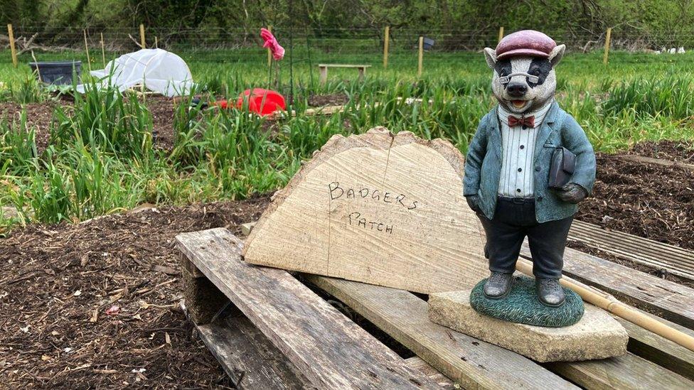 A badger statue next to a sign reading 'Badger's Patch'