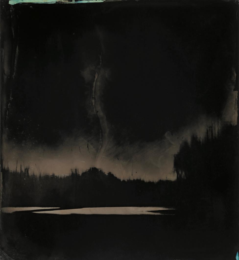 Tintype image of the Great Dismal Swamp in south-eastern Virginia, USA