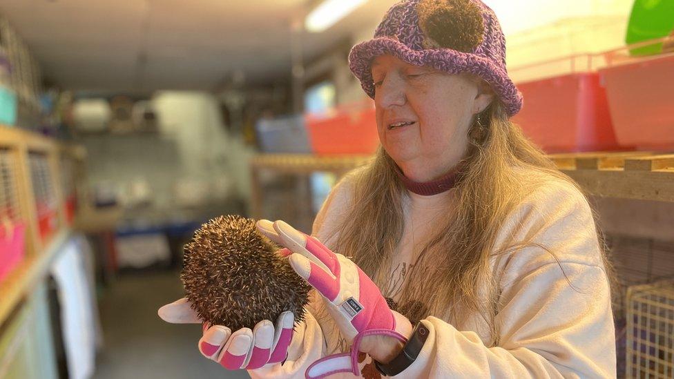 Vera Barber the Hedgehog Lady of Peel