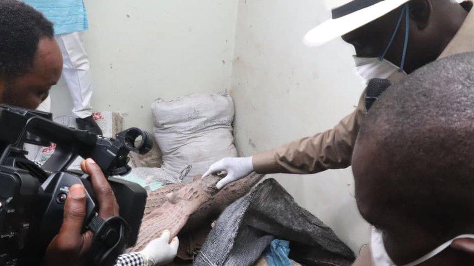 Pangolin scales being captured on camera before they are burnt