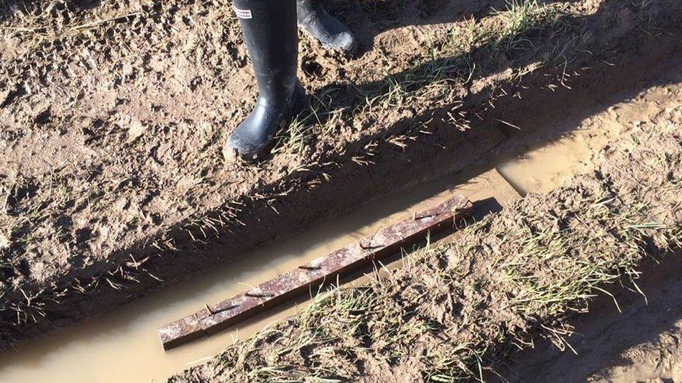 Nail trap in bridleway