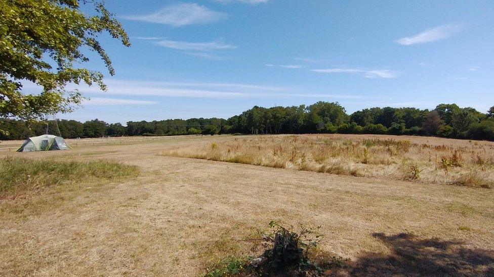 A field on the site proposed for additional holiday lodges