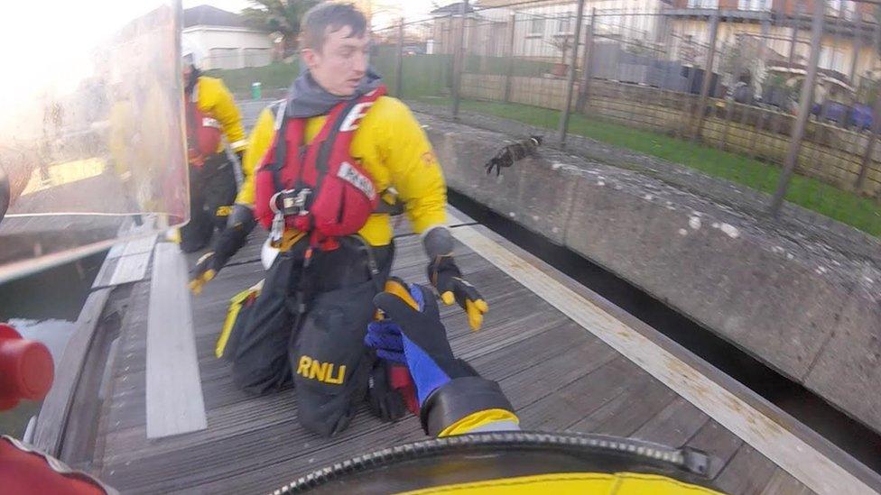 cat jumping from lifeboat