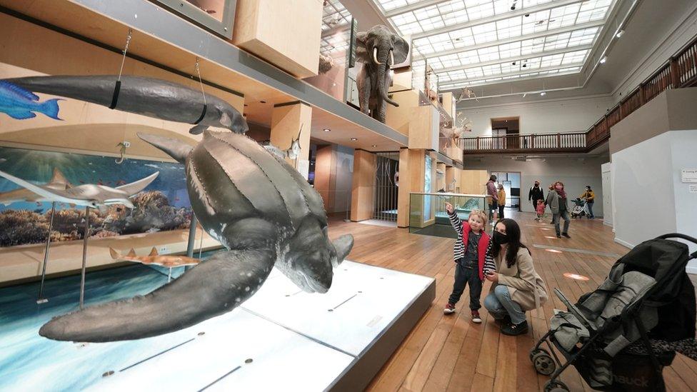 Visitors to the Great North Museum in Newcastle