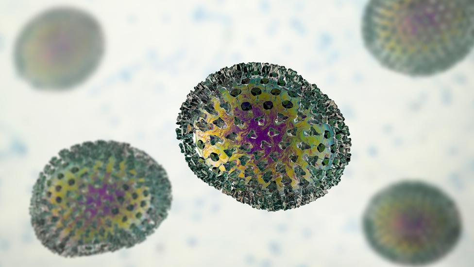 Flu virus magnified 3D image