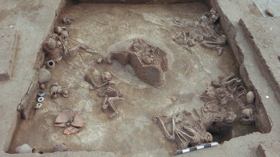 Bones in the Lajia dig
