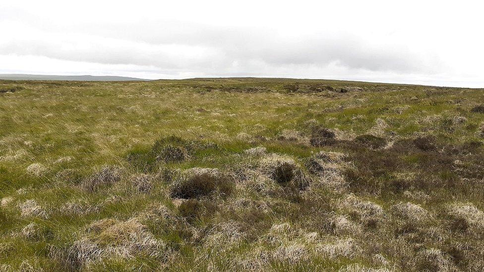 Moor land