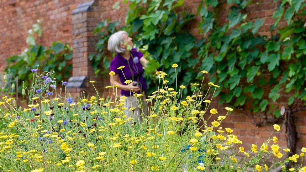 Guy's Cliffe Walled Garden