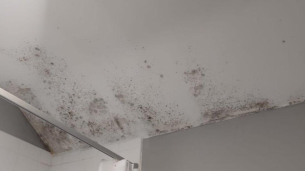 Mould on bathroom ceiling