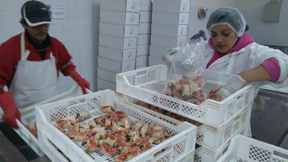 Two workers in the seafood processing plant