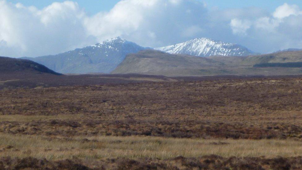 Peatlands near Snowdon