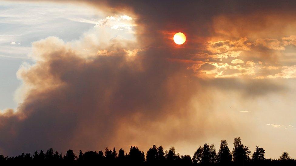 Fire burns in Karbole, Sweden, on July 15, 2018