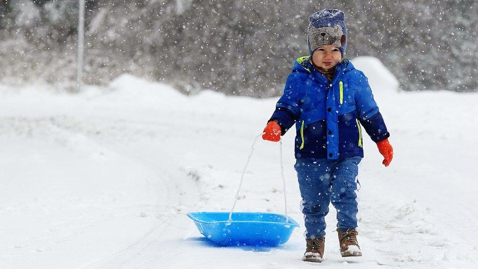 Three year old Dominic Manta, from Clondalkin, pulls his sleigh in the Dublin mountains following heavy snow fall.