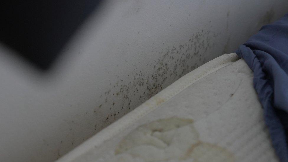 Patches of black mould could be seen on some of the walls