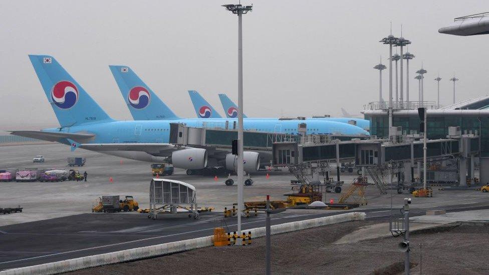 Korean Air planes on the tarmac at the airport