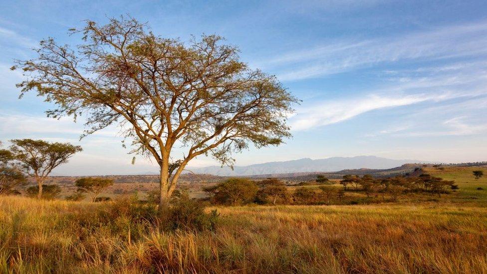 Queen Elizabeth National Park