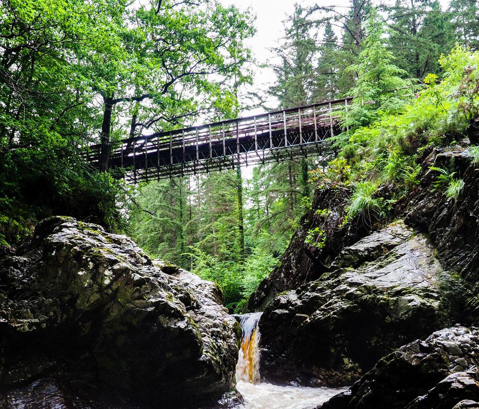 River and forest bridge near Dolgellau, Gwynedd