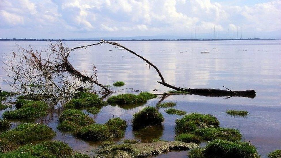 The Solway Firth