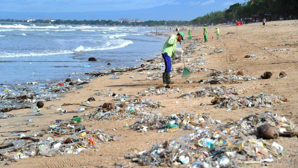 Person collecting rubbish at Kuta beach