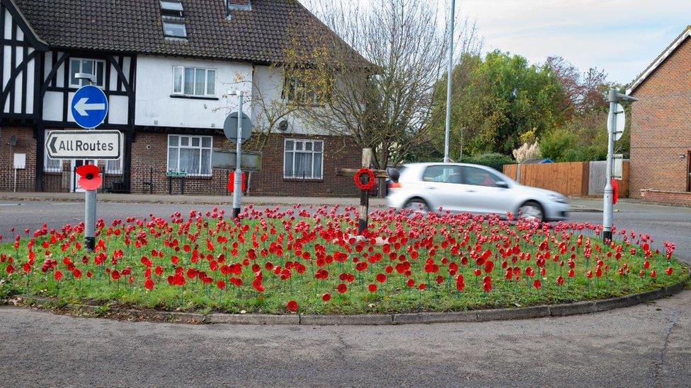 Poppies on roundabout