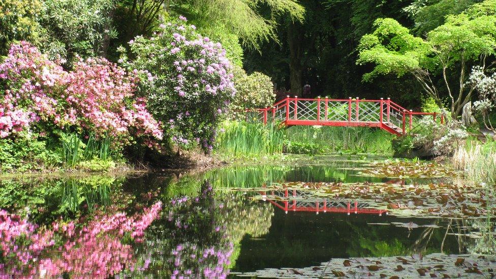 Bridge in Portmeirion