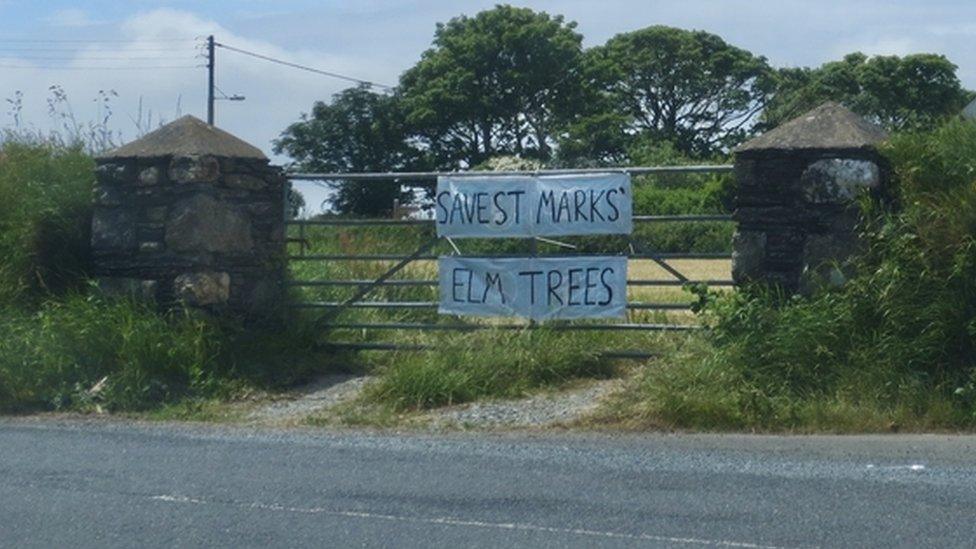 Banner in St Marks calling for trees to be saved